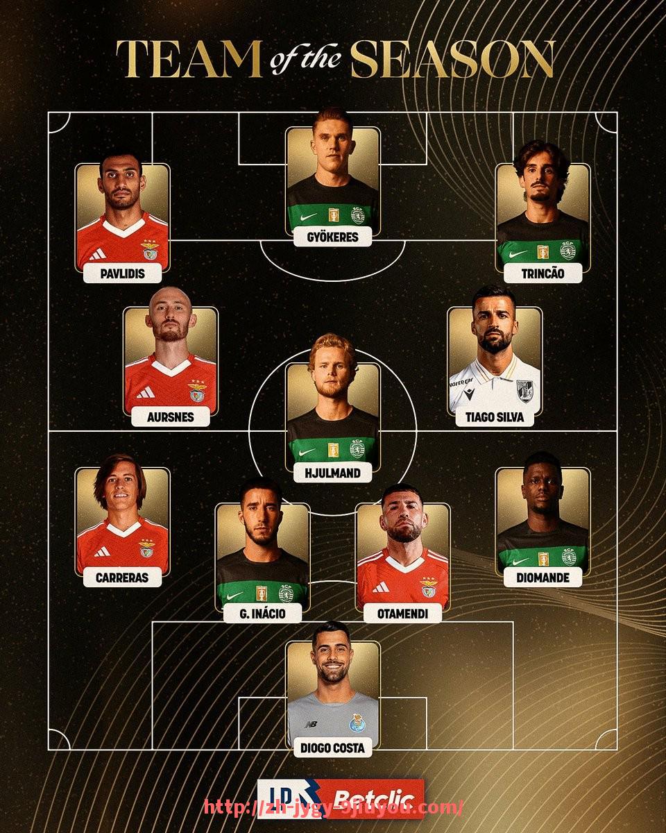 jiuyou九游娱乐-法甲里昂年度比赛票房收入与观众数据